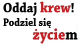 News zdjęcie id 876